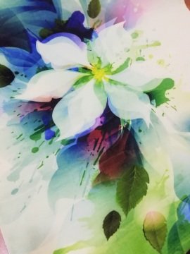 ÇİÇEK DESENELİ 11523 - FANTAZİ HALI 120X180