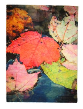 TABLO HALI SONBAHAR-FANTAZİ HALI 120X180