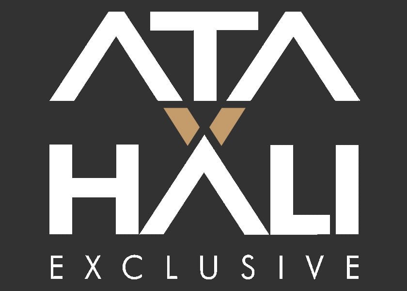 PİNK PANDA DESİNG-ANİMAL TUFTED CARPET PİNK/MULTİ-ATA HALI | ATA HALI